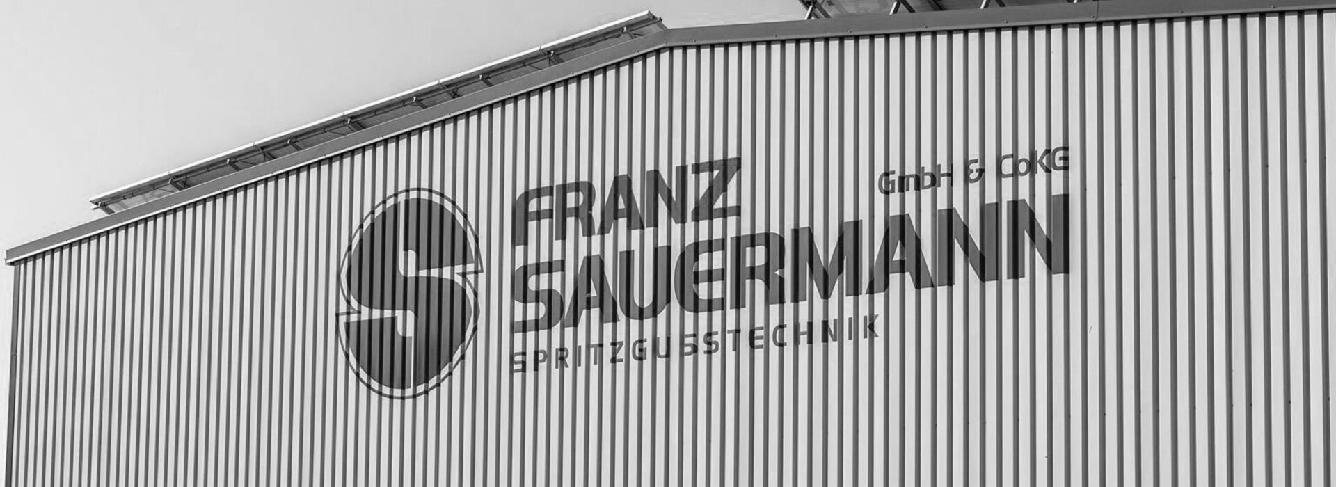 Franz Sauermann Kunststofftechnik GmbH & Co. KG